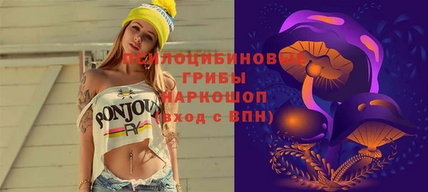 прущая мука Армянск
