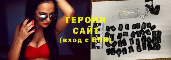 индика Алексин
